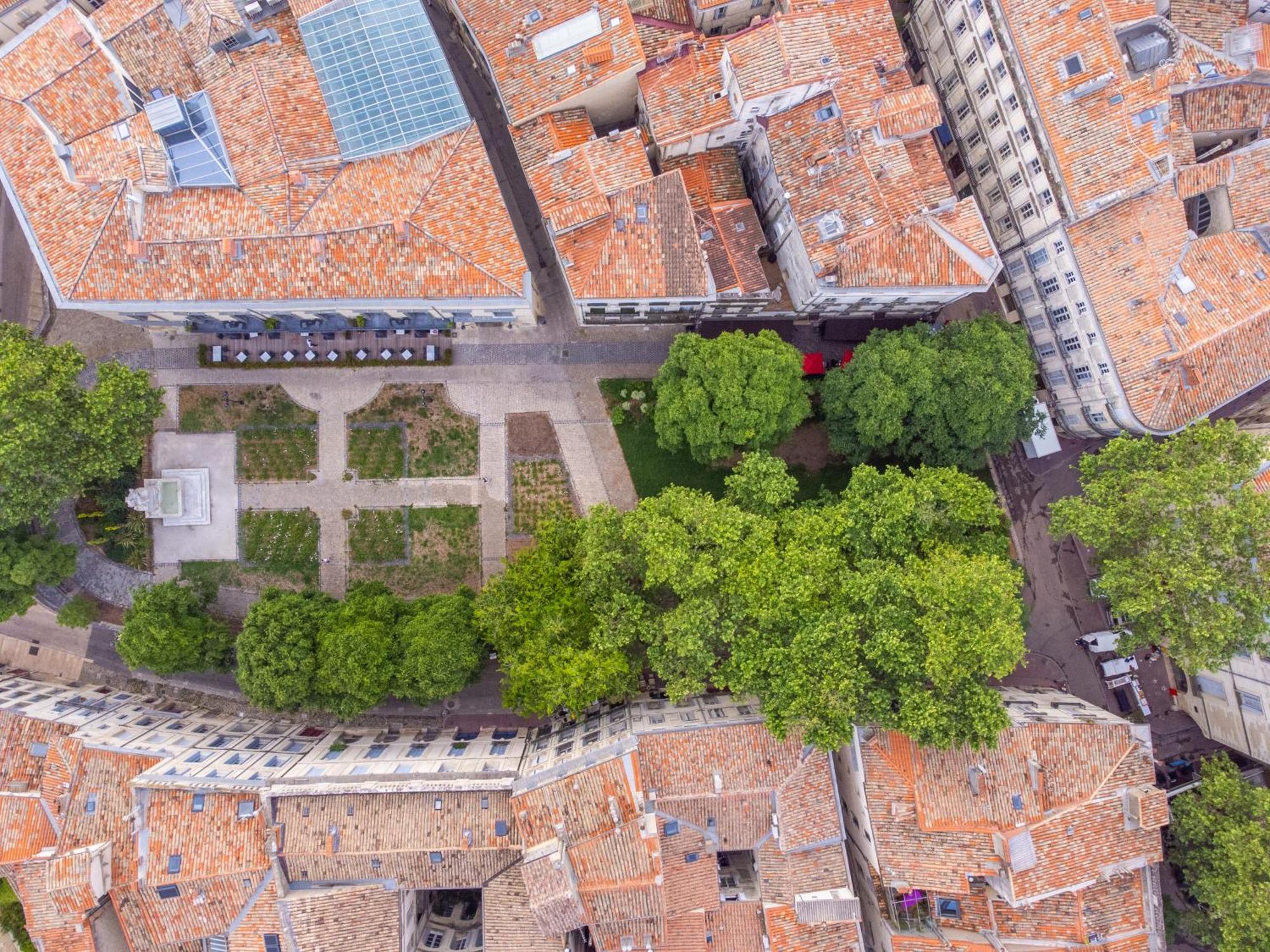 מונפלייה Le Platane De La Canourgue מראה חיצוני תמונה